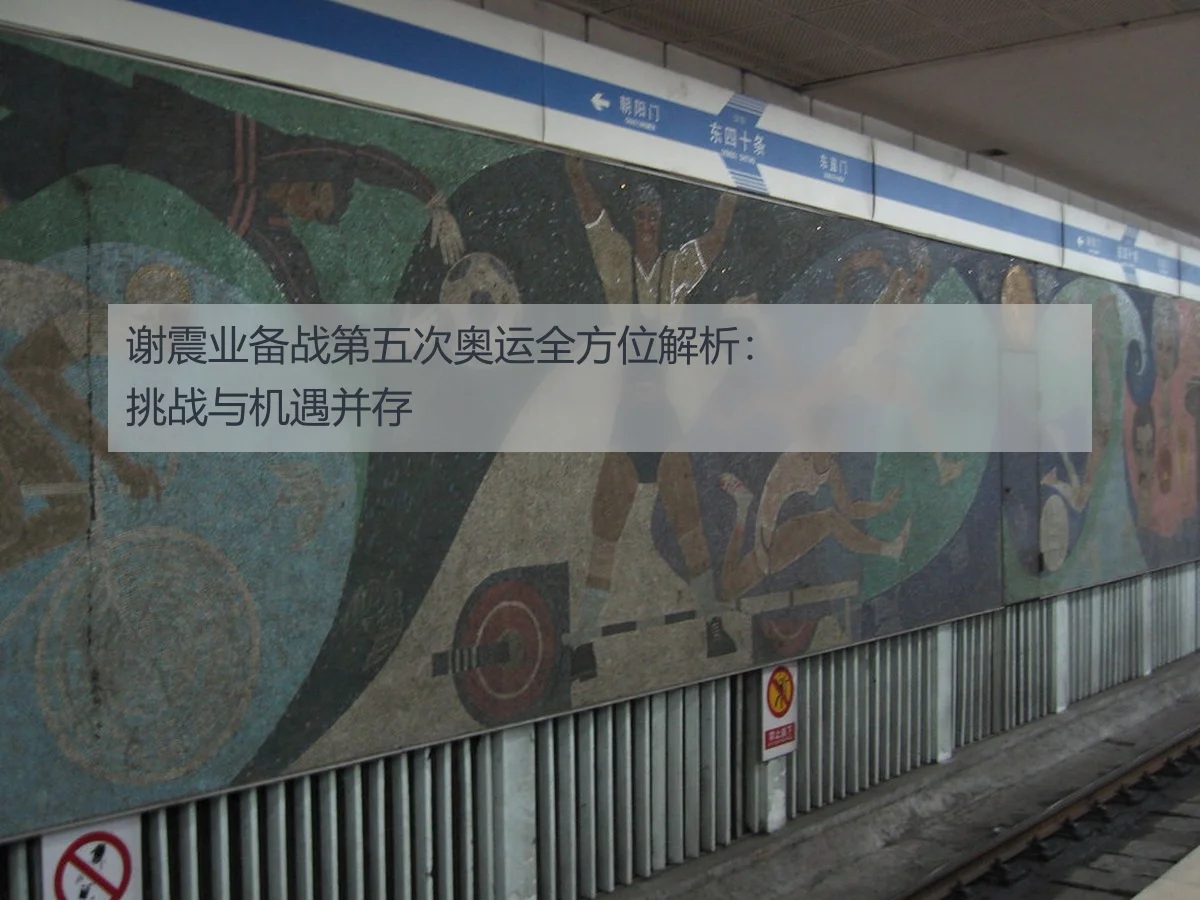 谢震业备战第五次奥运全方位解析：挑战与机遇并存